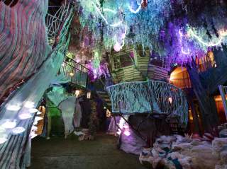 Meow Wolf Exhibit
