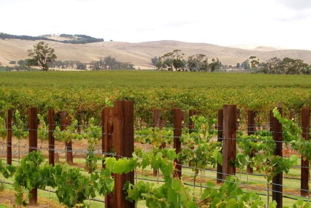 Barossa Valley Australia Wineries