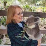 Qantas Winner Koala