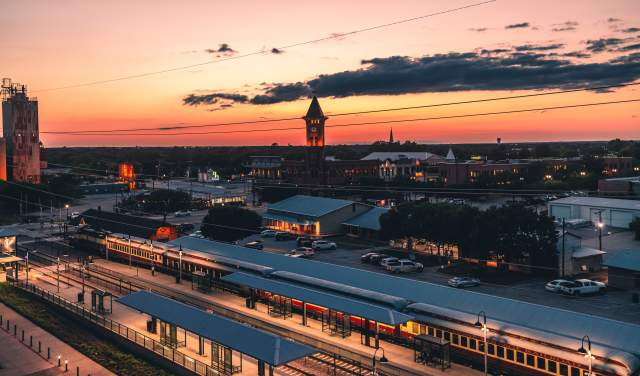 Grapevine at Sunset
